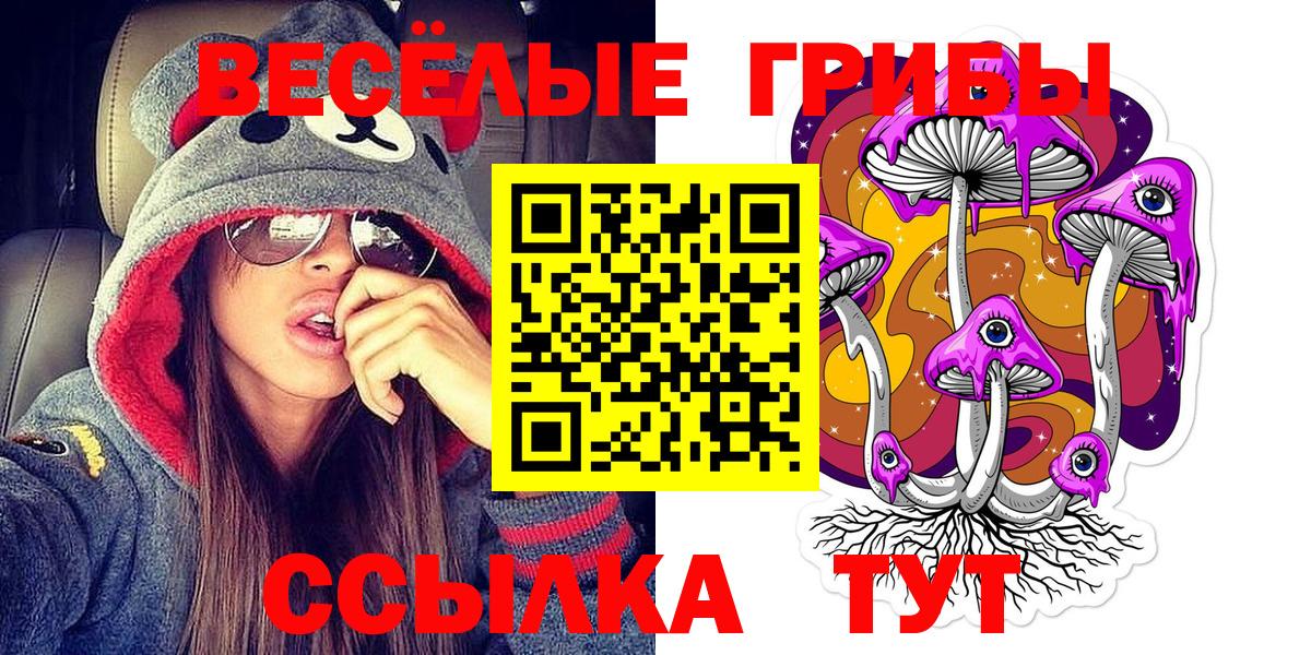 Славгород  Галлюциногенные грибы Psilocybine cubensis  Вход с VPN 